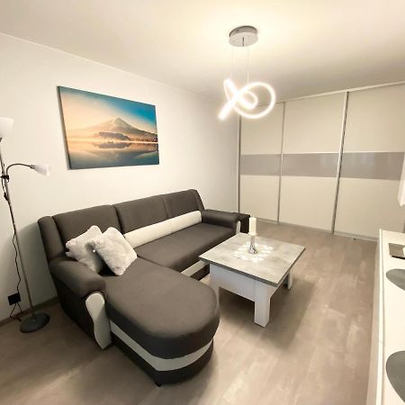 Studio Flat In Panevėžys Екстериор снимка